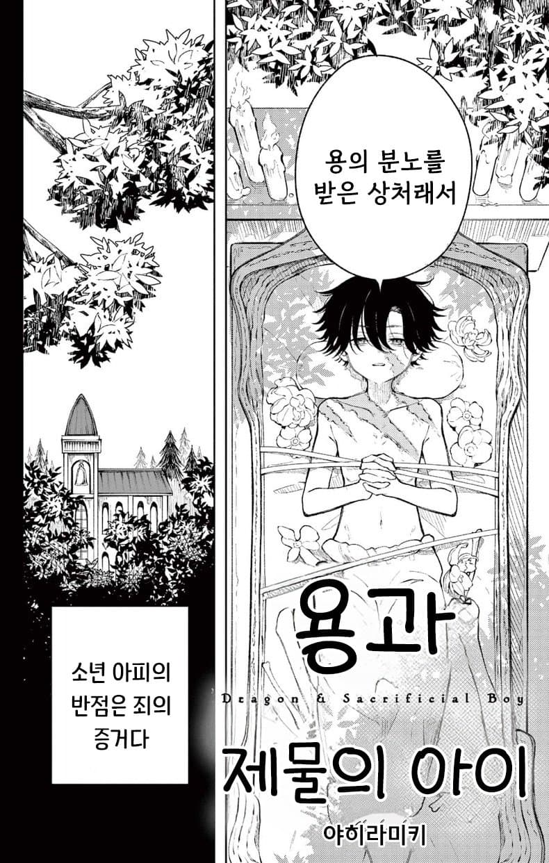 용과 제물의 아이