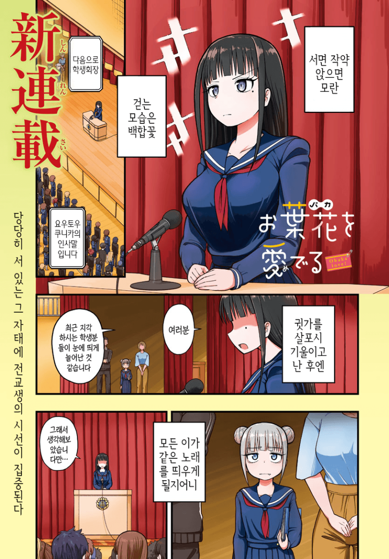 바보를 사랑하다