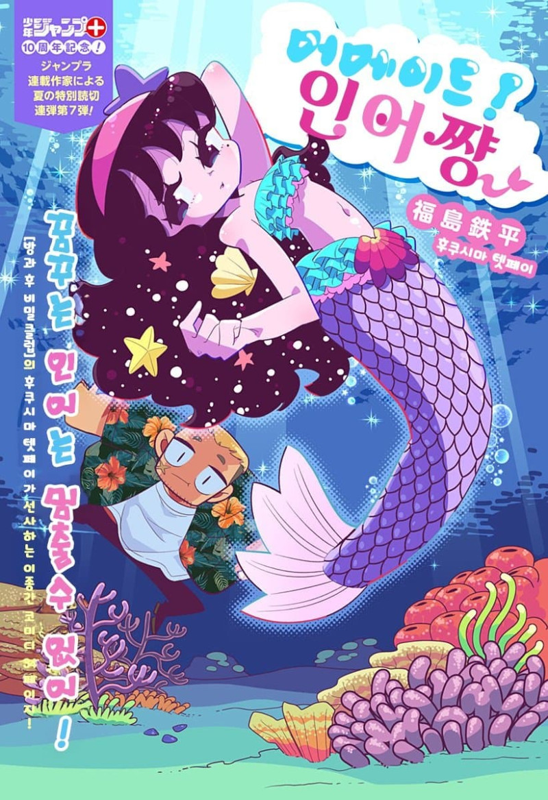 머메이드! 인어쨩